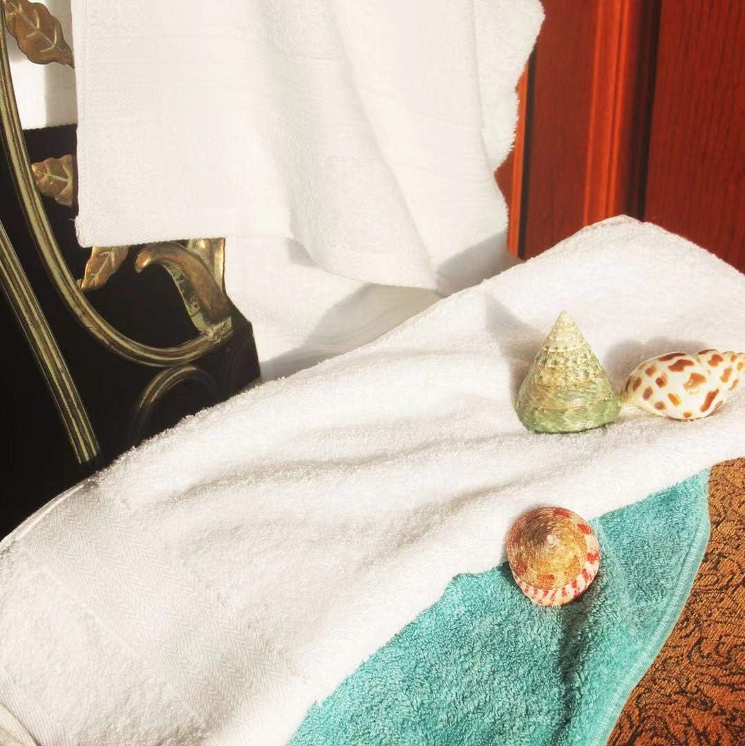 6 Pack Premium 100% Cotton Hand Towels, Absorbent Bathroom Hand Towel 16 X 28 Inches, Hotel & Spa Quality Towels, White
